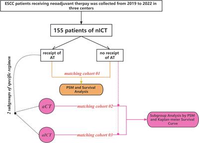 Adjuvant therapy provides no additional recurrence-free benefit for esophageal squamous cell carcinoma patients after neoadjuvant chemoimmunotherapy and surgery: a multi-center propensity score match study